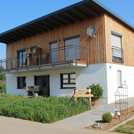 Ferienwohnungen "Blumenwiese" Dillingen an der Donau Zewnętrze zdjęcie