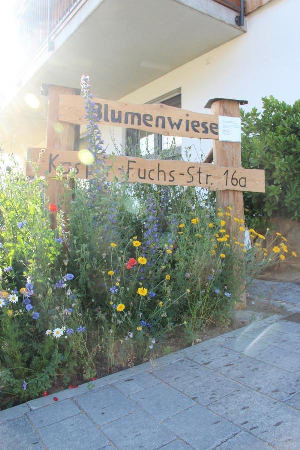 Ferienwohnungen "Blumenwiese" Dillingen an der Donau Zewnętrze zdjęcie